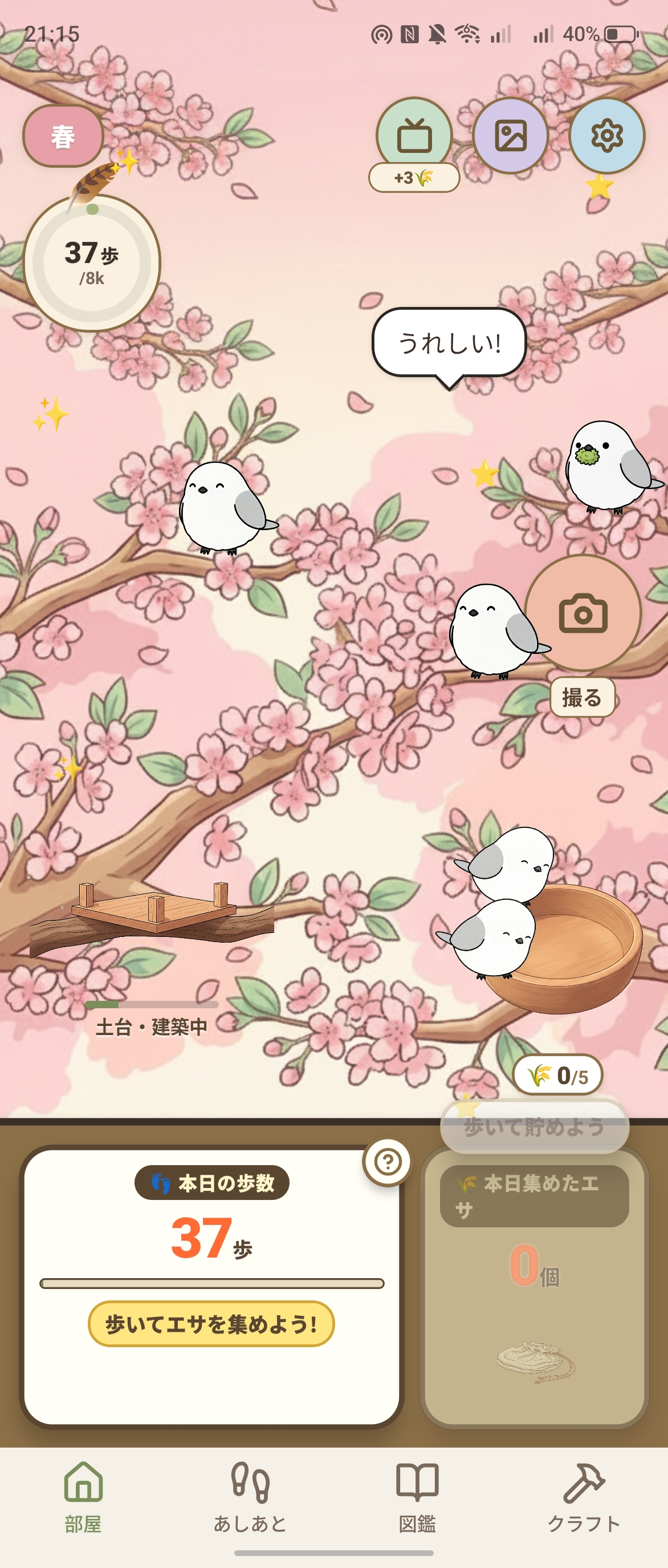 桜の部屋に集まるシマエナガ